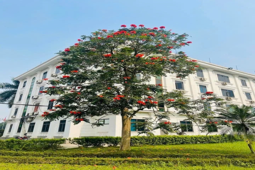 Trang thông tin luận án của nghiên cứu sinh Nguyễn Thị Tuyết Hoa