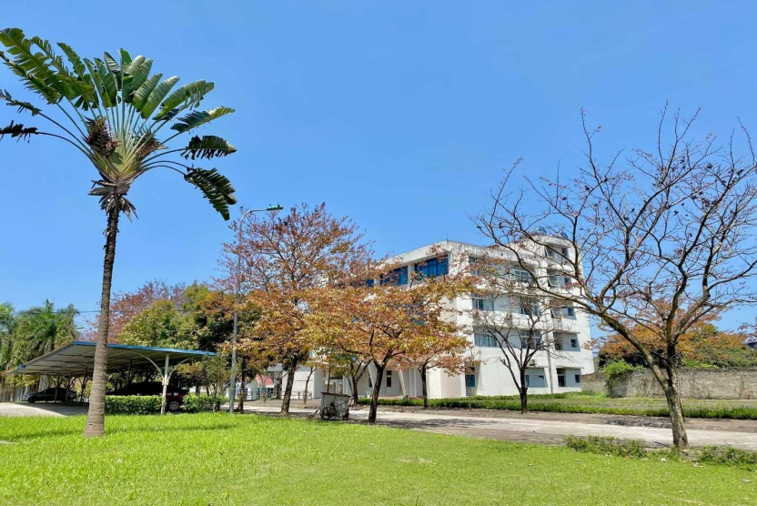 Đơn xin dự xét chuẩn đầu ra ngoại ngữ, thưởng điểm, miễn học các học phần tiếng Anh