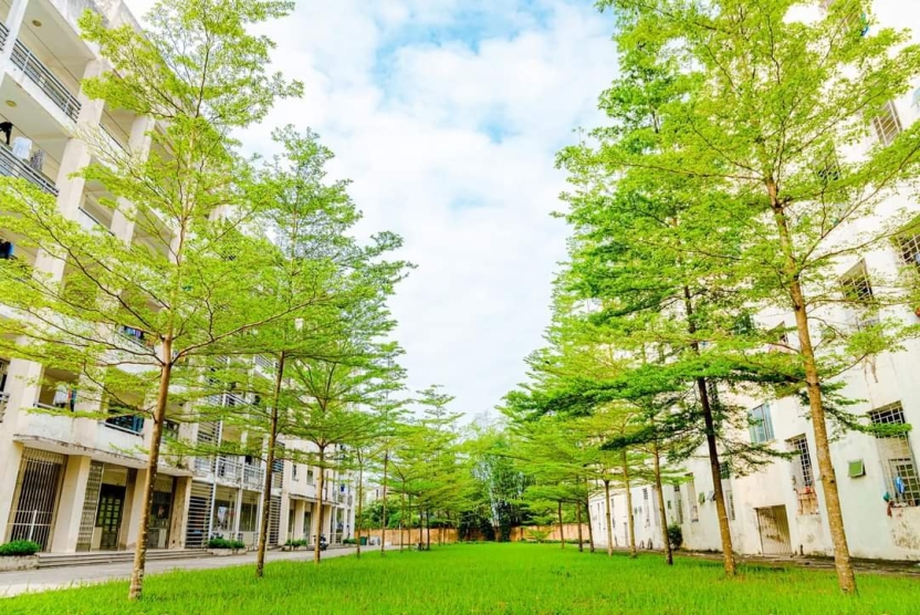 Thông báo v/v cập nhật bổ sung lý lịch sinh viên khóa K61