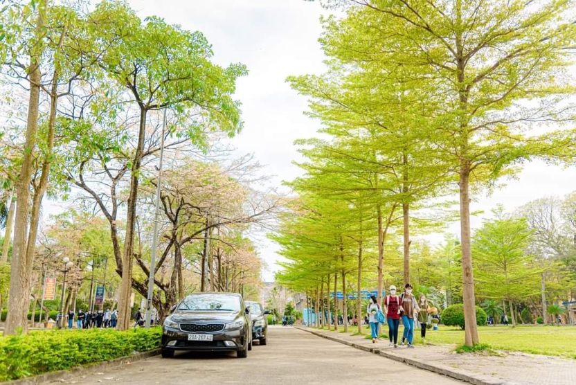 Thông báo v/v triển khai nộp bài thu hoạch "Tuần sinh hoạt công dân - người học" đầu khóa đối với người học khóa K61 năm học 2025 - 2026