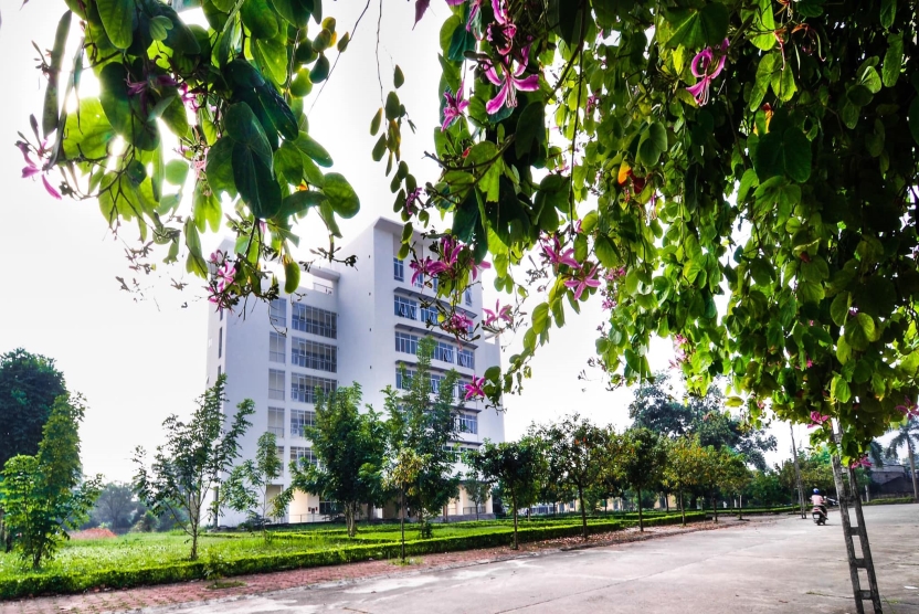 Thông báo về việc tổ chức bảo vệ luận án tiến sĩ cấp Trường của nghiên cứu sinh Lại Thị Thanh Hoa