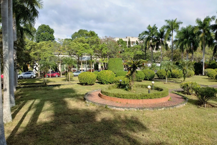 Lịch tuần từ 05/01/2026 đến 11/01/2026