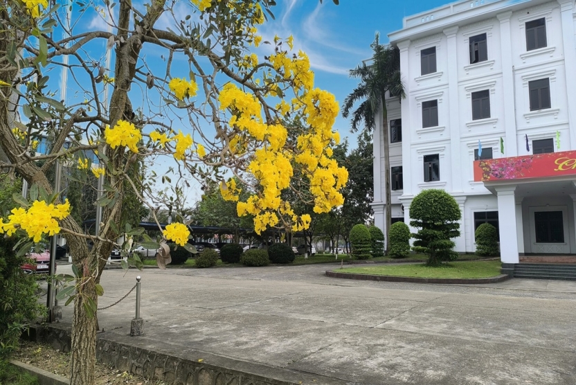 Hướng dẫn đăng nhập, cấu hình tài khoản và chữ ký cho phần mềm văn bản của TNU